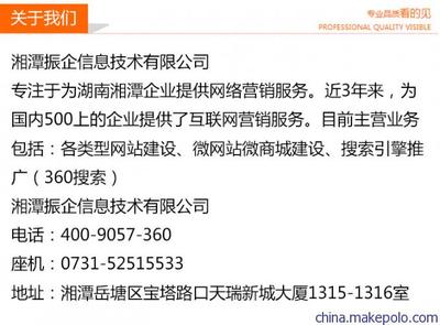 湘潭振企 用心构建网站，助您赢在网络时代